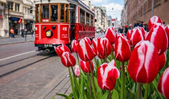 Фестивал на лалетата в Истанбул, Турция с автобус от Варна - 3 нощувки